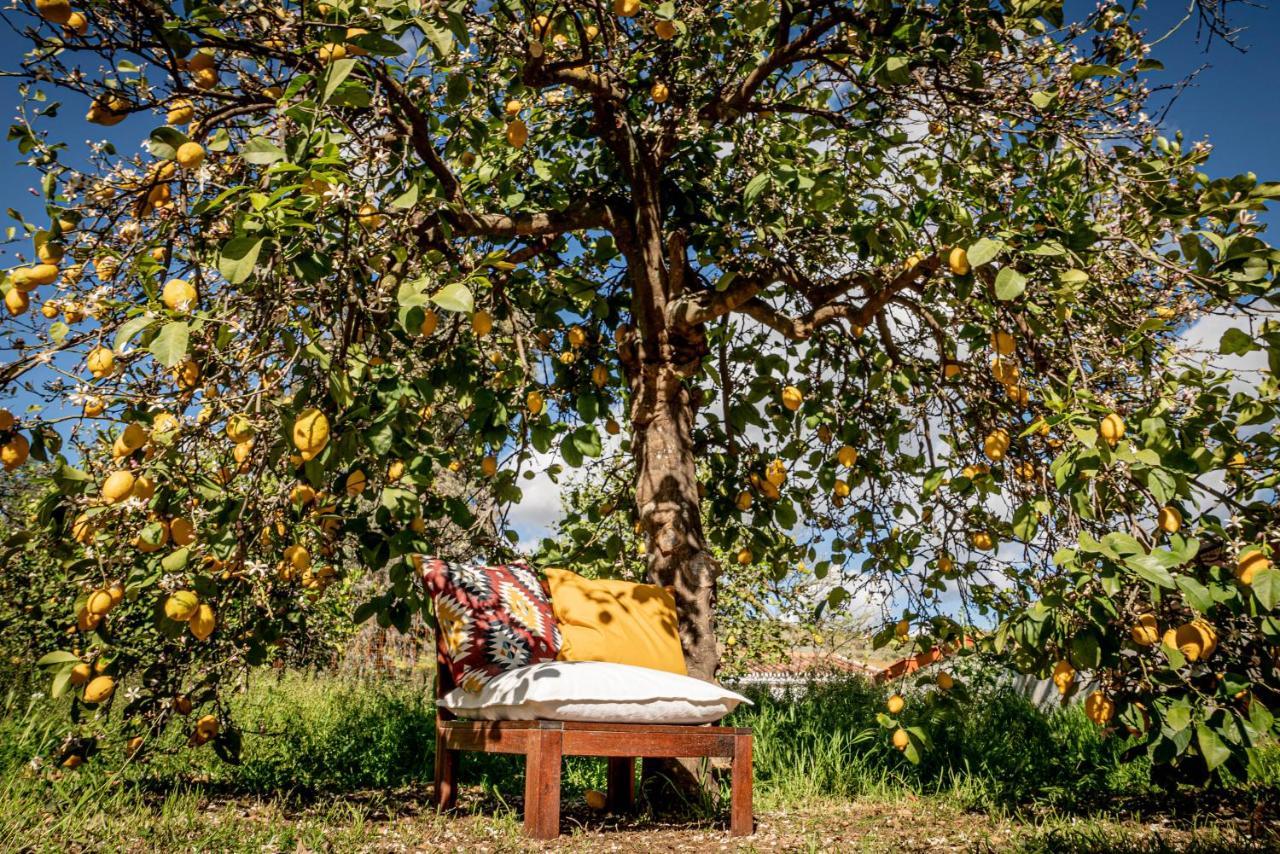 Finca El Limonar Alora Luaran gambar