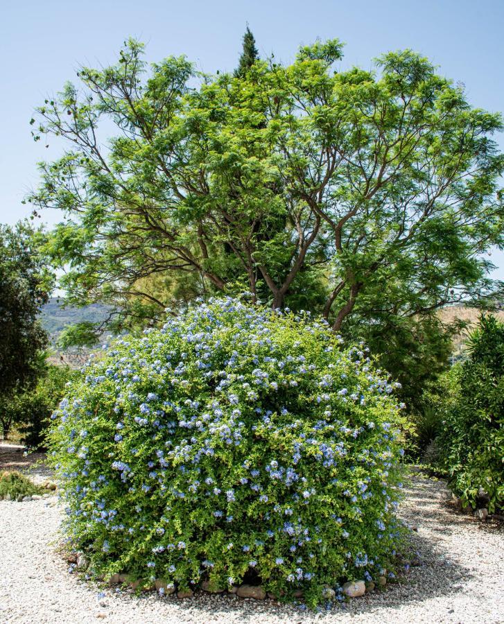 Finca El Limonar Alora Luaran gambar